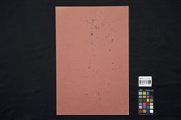 裸女(13)藏品圖，第3張