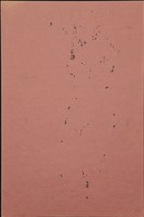 裸女(13)藏品圖，第4張