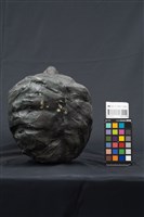 沈哲哉先生塑像藏品圖，第6張