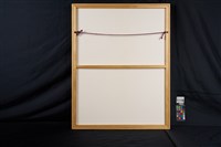 斑來了藏品圖，第4張