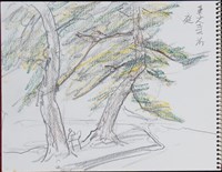 東大寺前庭的圖片