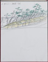 小松の近く海邊の松藏品圖，第1張