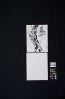 小松の近く海邊の松藏品圖，第3張