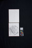 黑部ダムより残雪あり藏品圖，第2張