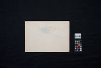 孔雀藏品圖，第3張