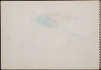 孔雀藏品圖，第4張