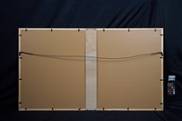 舞龍慶豐年藏品圖，第4張