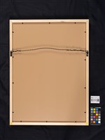 赤崁樓 (小西門)藏品圖，第4張