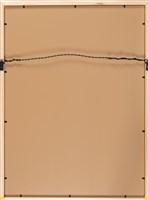 赤崁樓 (小西門)藏品圖，第5張