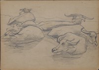 水牛群速寫藏品圖，第1張
