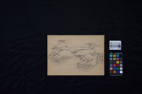 水牛群速寫藏品圖，第2張