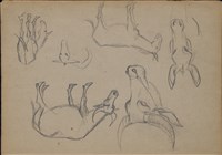 水牛群速寫藏品圖，第4張