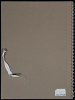 人物、風景速寫藏品圖，第4張