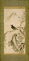菊石八哥圖的圖片