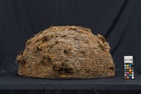 荒原藏品圖，第4張