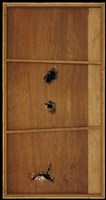 菩薩圖(三)藏品圖，第4張