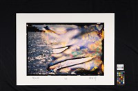 開天系列40藏品圖，第2張