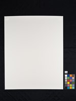 收藏童年系列12_金魚藏品圖，第3張