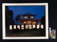 收藏童年系列32_石龜行藏品圖，第2張