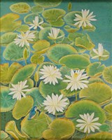 蓮池一隅的圖片