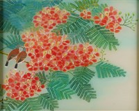 鳳凰花開的圖片