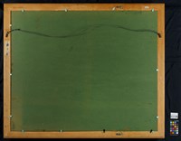 紅目鰱與白鯧魚藏品圖，第4張