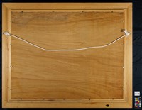 環河橋下藏品圖，第5張