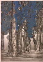 樹色千層青藏品圖，第1張