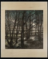 天際霞光入水中藏品圖，第3張