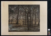 長林含落暉藏品圖，第2張