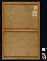 淡江冬日藏品圖，第4張