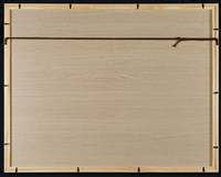 視線藏品圖，第5張