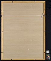 如蝶般自由藏品圖，第4張