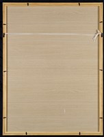 如蝶般自由藏品圖，第5張