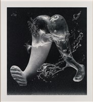 雙足步行_2024ml的圖片