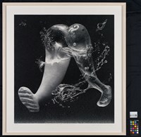 雙足步行_2024ml藏品圖，第2張