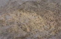 風起雲湧藏品圖，第1張