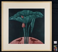 白河．荷藏品圖，第2張