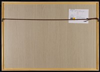 物質化網點- b藏品圖，第5張