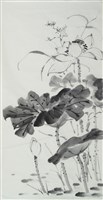 荷花藏品圖，第1張
