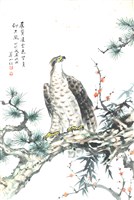 鷹藏品圖，第1張