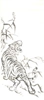 虎-5的圖片