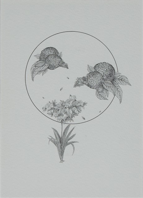 花草偈的圖片