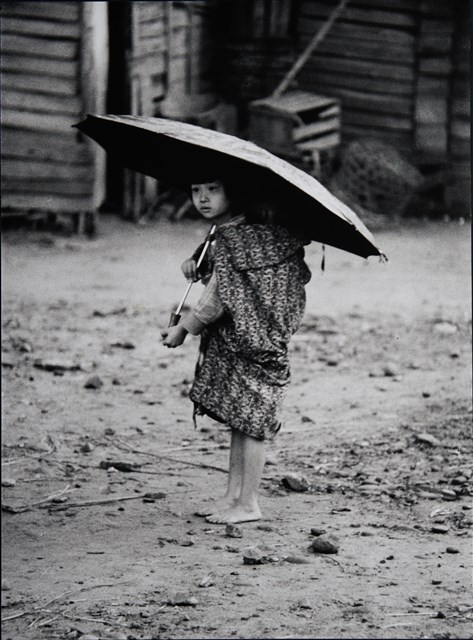 雨中取樂的圖片