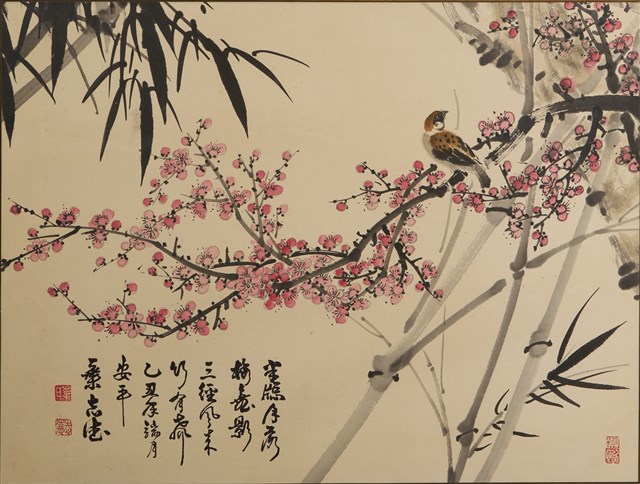 花鳥的圖片