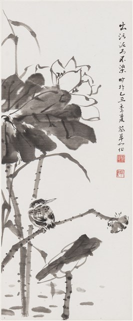 出淤泥而不染的圖片