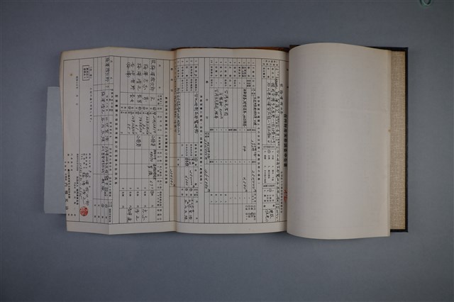 在外財產実態調查申告書的圖片