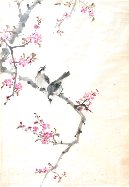 異花奇鳥的圖片