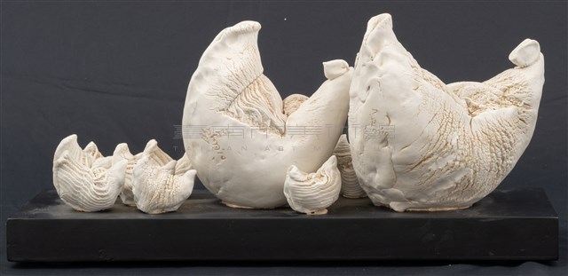 全家福藏品圖，第9張