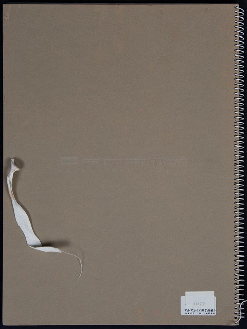 人物、風景速寫藏品圖，第4張